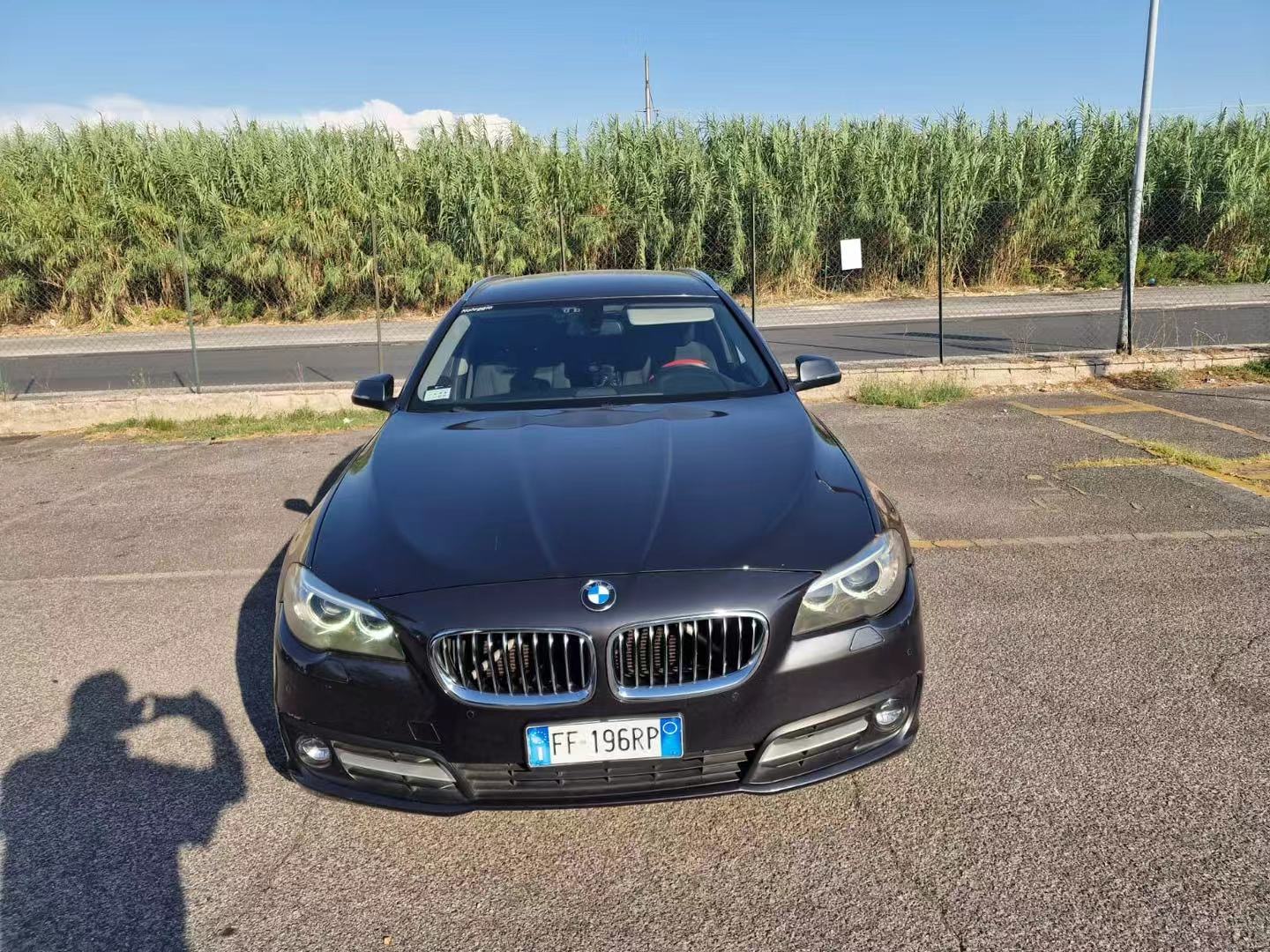 Immagine veicolo di ELISA