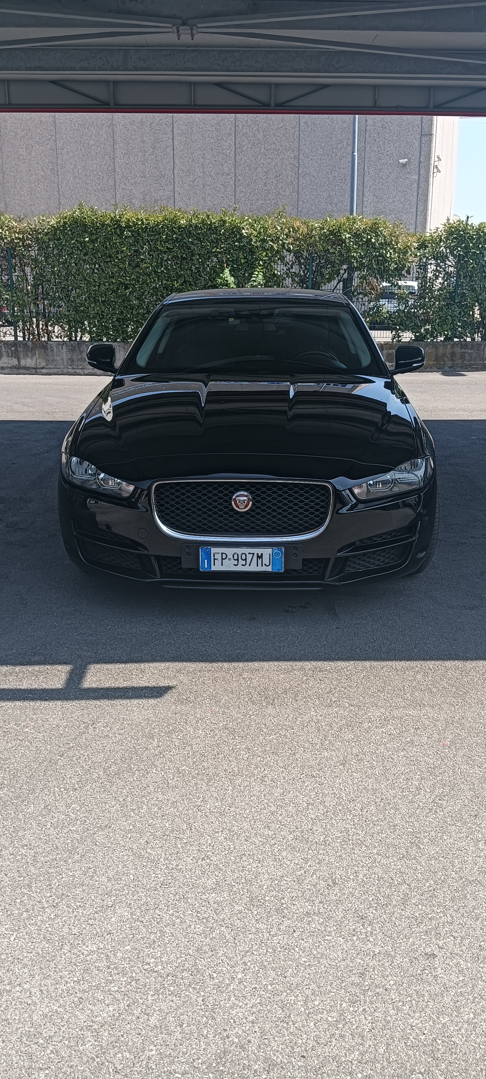 Vehicle image of sabrina