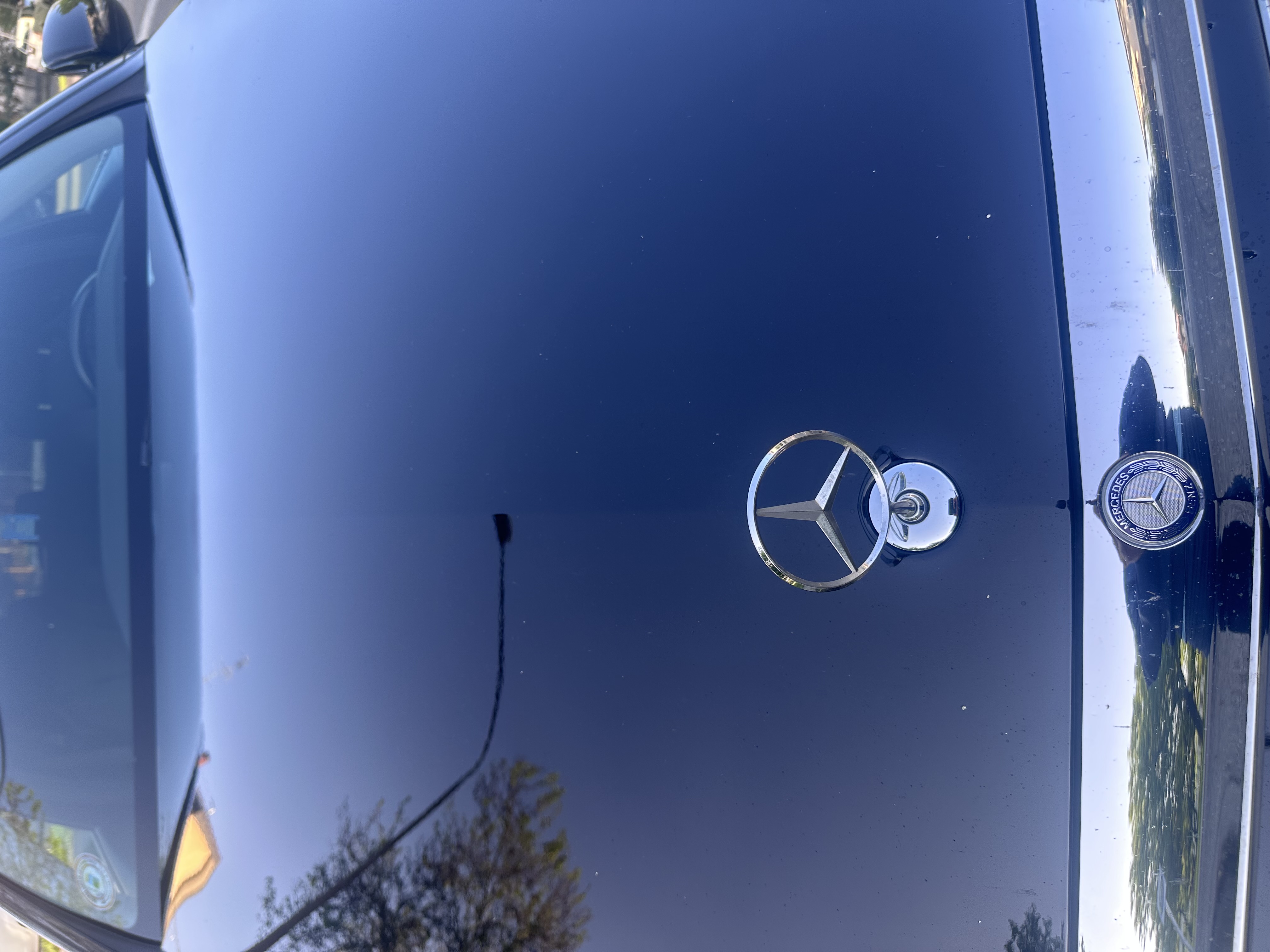 Vehicle image of Saqlain