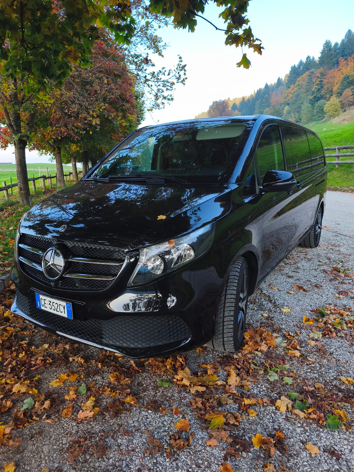 Vehicle image of Alf